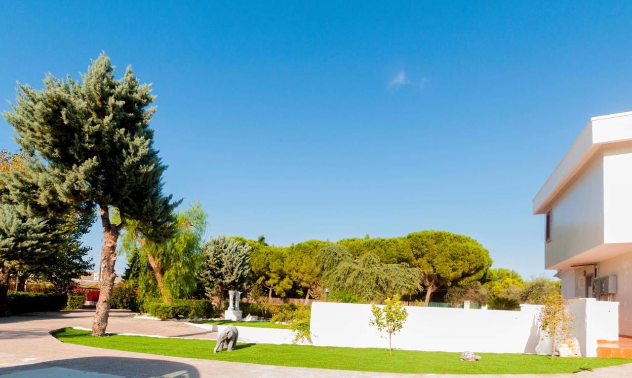 Paradise Beb Giovinazzo Exterior foto